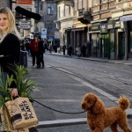 U Biljke.Plants smo pronašli pet friendly biljke – Sobne biljke sigurne za vaše ljubimce koje će uljepšati vaš dom