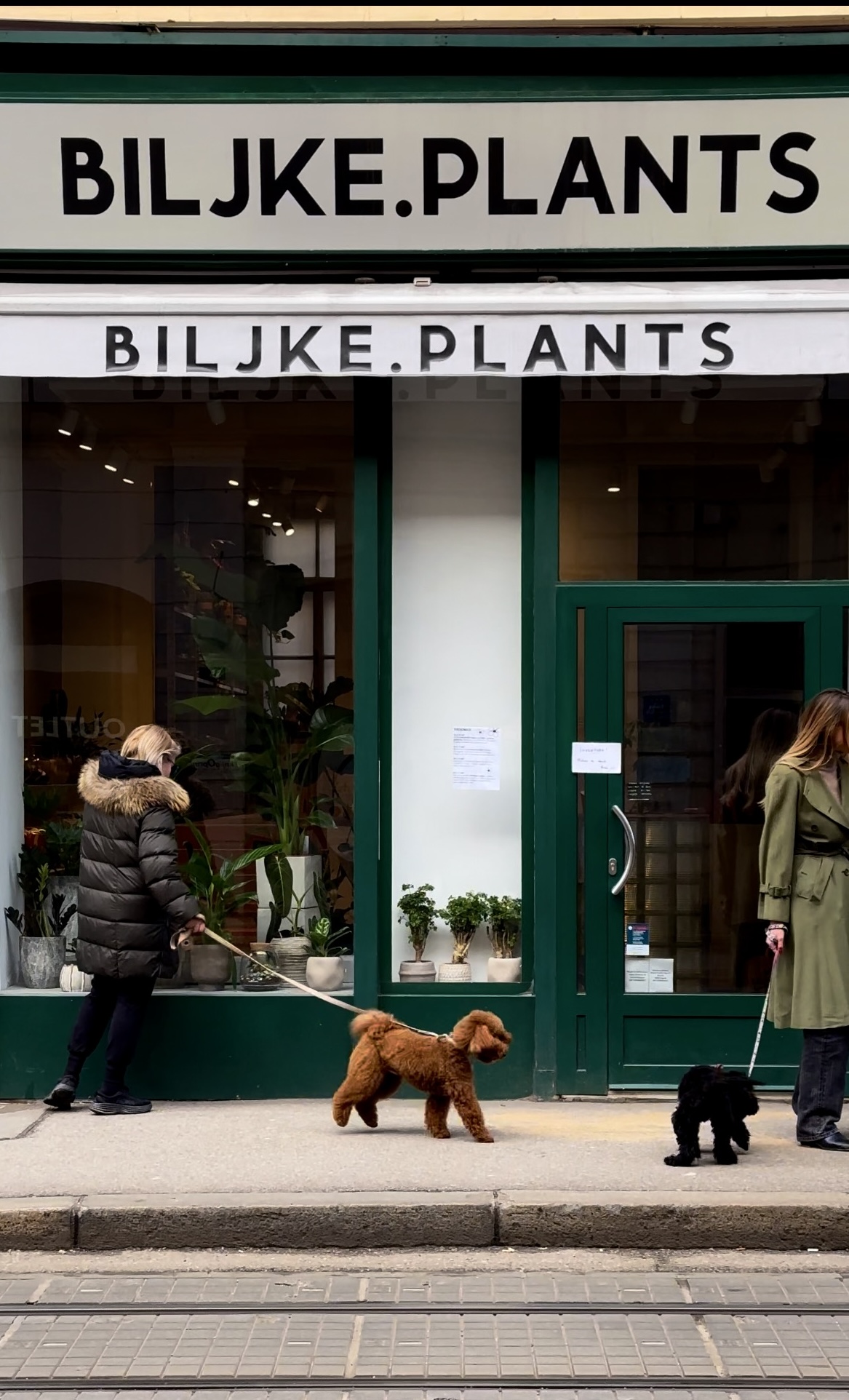 biljke-plants-shop-izlog.jpg