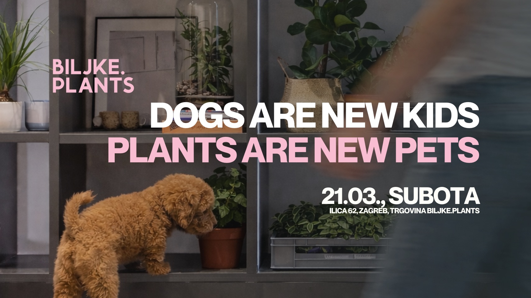 Dogs are new kids, plants are new pets - Druženje za vlasnike kućnih ljubimaca i ljubitelje biljaka u Zagrebu