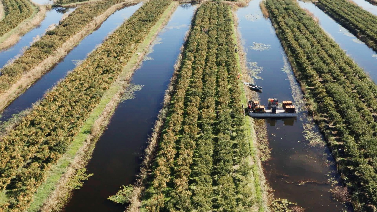 Finale Dobre ekonomije postavlja pitanje što i kako jedemo