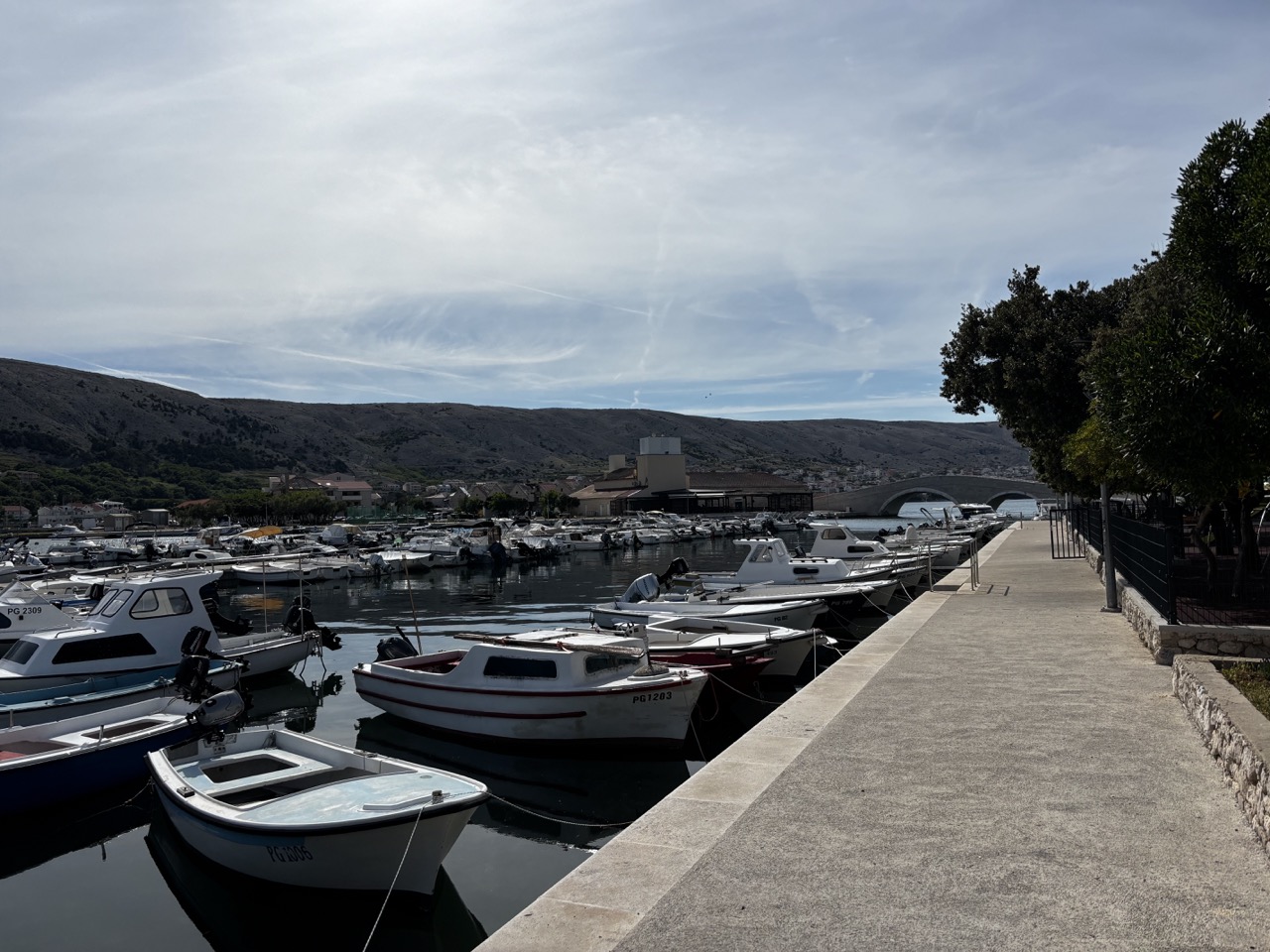 img-5768-large.jpeg