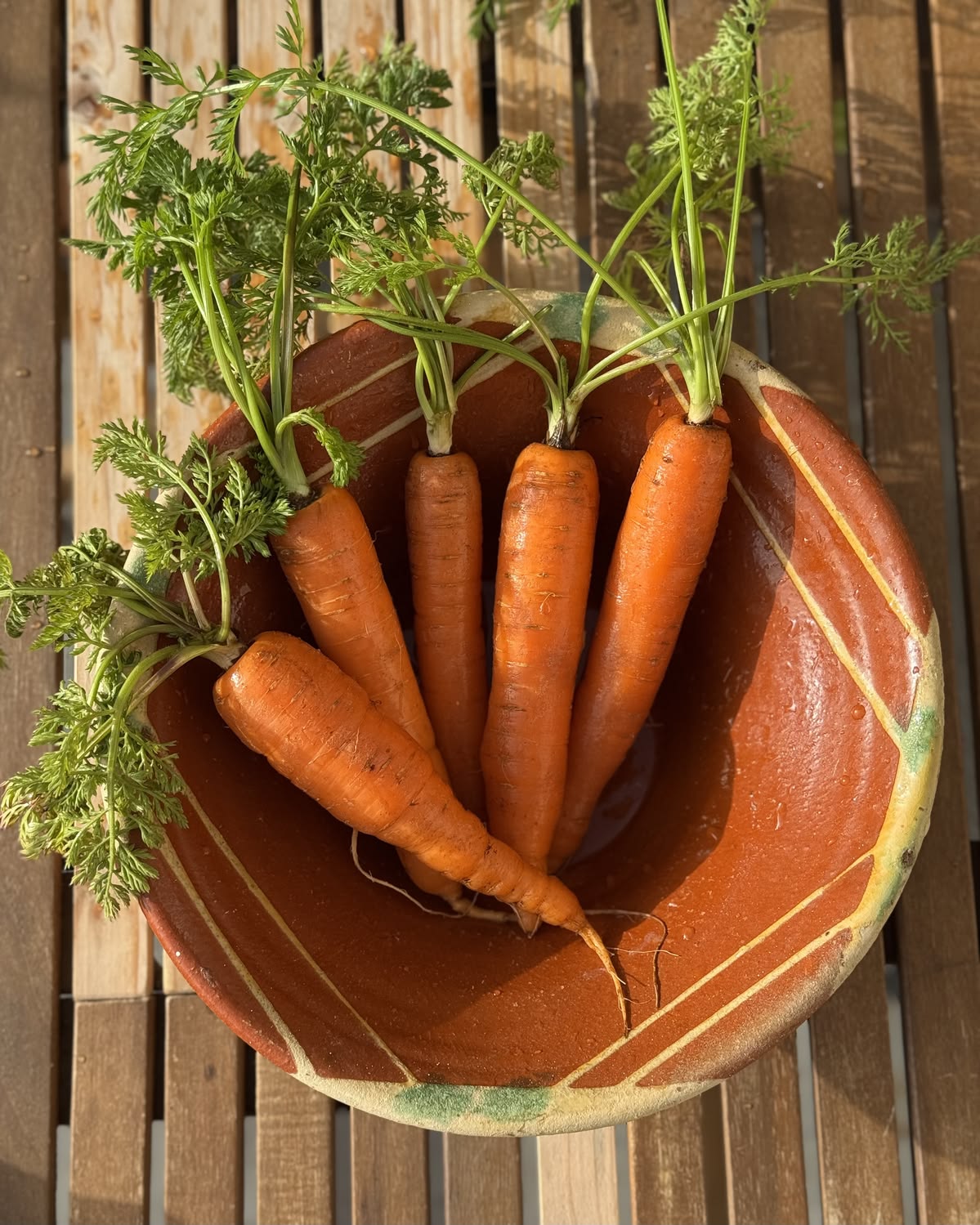 mrkva-carrot-sezonska-namirnica.jpg