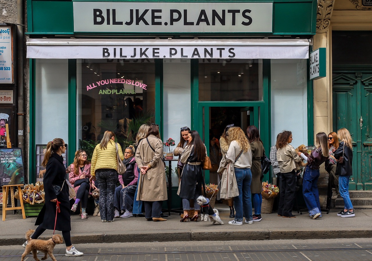 Dogs are New Kids, Plants are New Pets - Proljetni pet-friendly event u Biljke.Plants kao scena iz Disneyevog filma